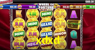 xdxd.com